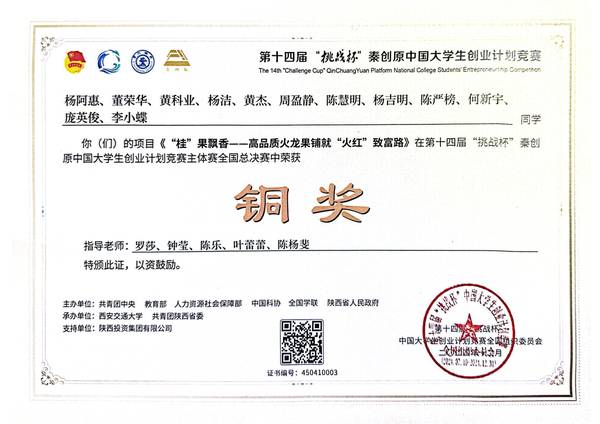 国家级铜奖 · 2024挑战杯