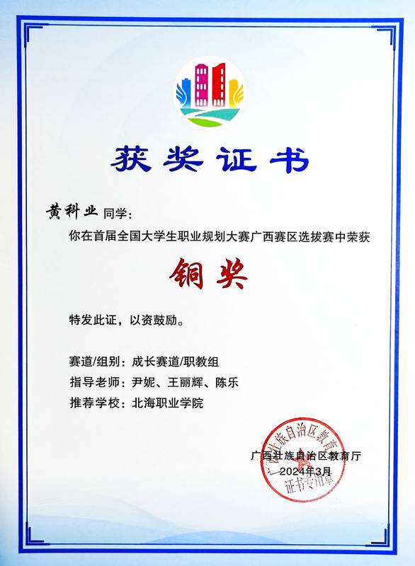 2024职业规划铜奖
